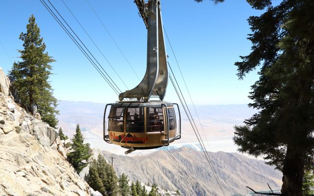 Palm Springs Aerial Tramway car makes its way up the cable on Mt San Jacinto. Photo from Palm Springs Aerial Tramway, Palm Springs CA 