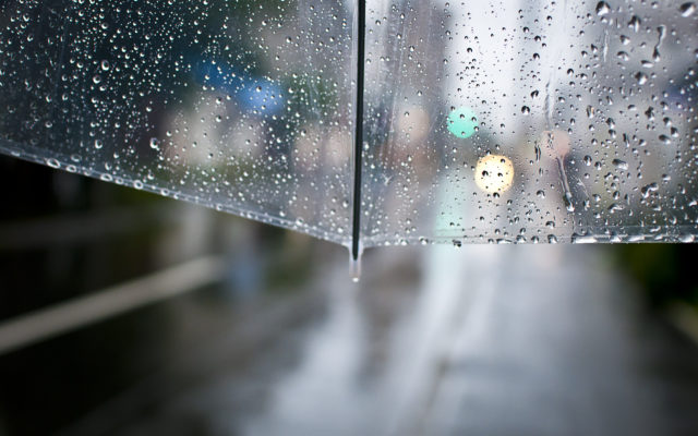 Transparent umbrella on rainy day. Photo from Alpha Media Portland OR