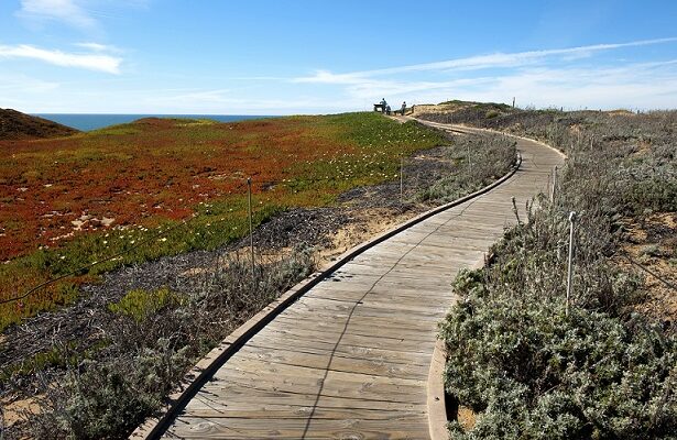 In this March 20, 2012, photo provided by the California State Parks shows Fort Ord Dunes State Park in Sand City, Calif. The first new state park campground on the California coast in 30 years is expected to feature ocean frontage on Monterey Bay when it opens in 2022. Fort Ord Dunes State Park has 4 miles (6 kilometers) of ocean beach on the bay and is located near Marina, south of Moss Landing and north of Monterey, The San Francisco Chronicle reported Saturday, Feb. 23, 2020. (Brian Baer/California State Parks, 2020, via AP) used locally June 16th 2022 @ap.images