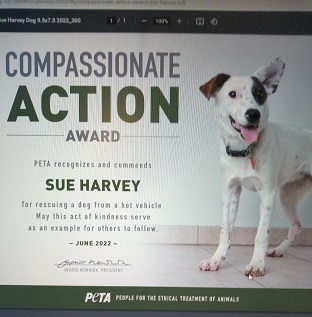 PETA Compassionate Action Award Photo from PETA 