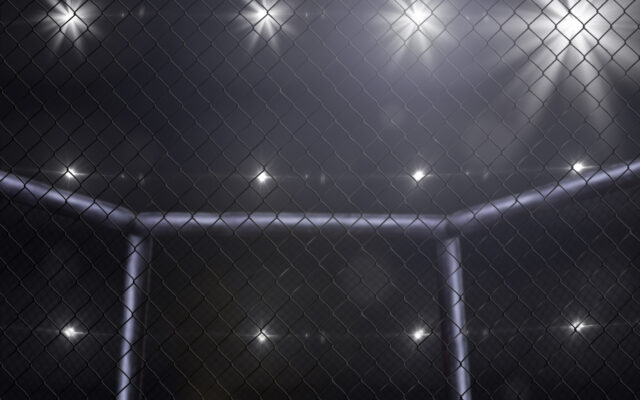 Professional Mixed Martial Arts Fighters Will Qualify For Pensions In California